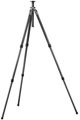Gitzo GT2531 Series 2 Mountaineer Tripod